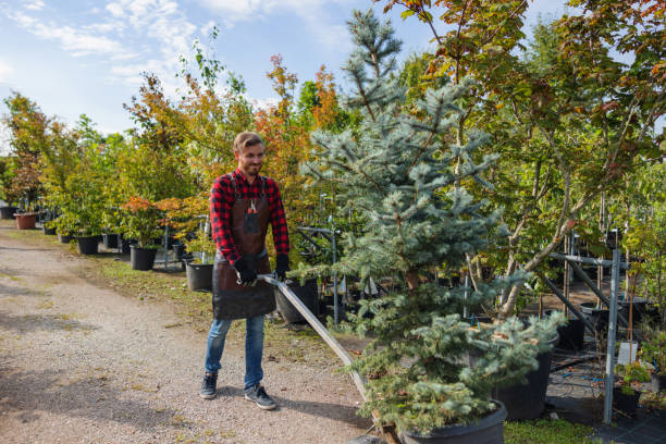 Best Tree and Shrub Care  in Wyoming, DE